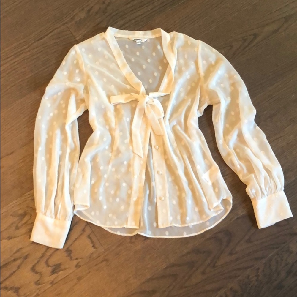 Polka-dot chiffon dress shirt